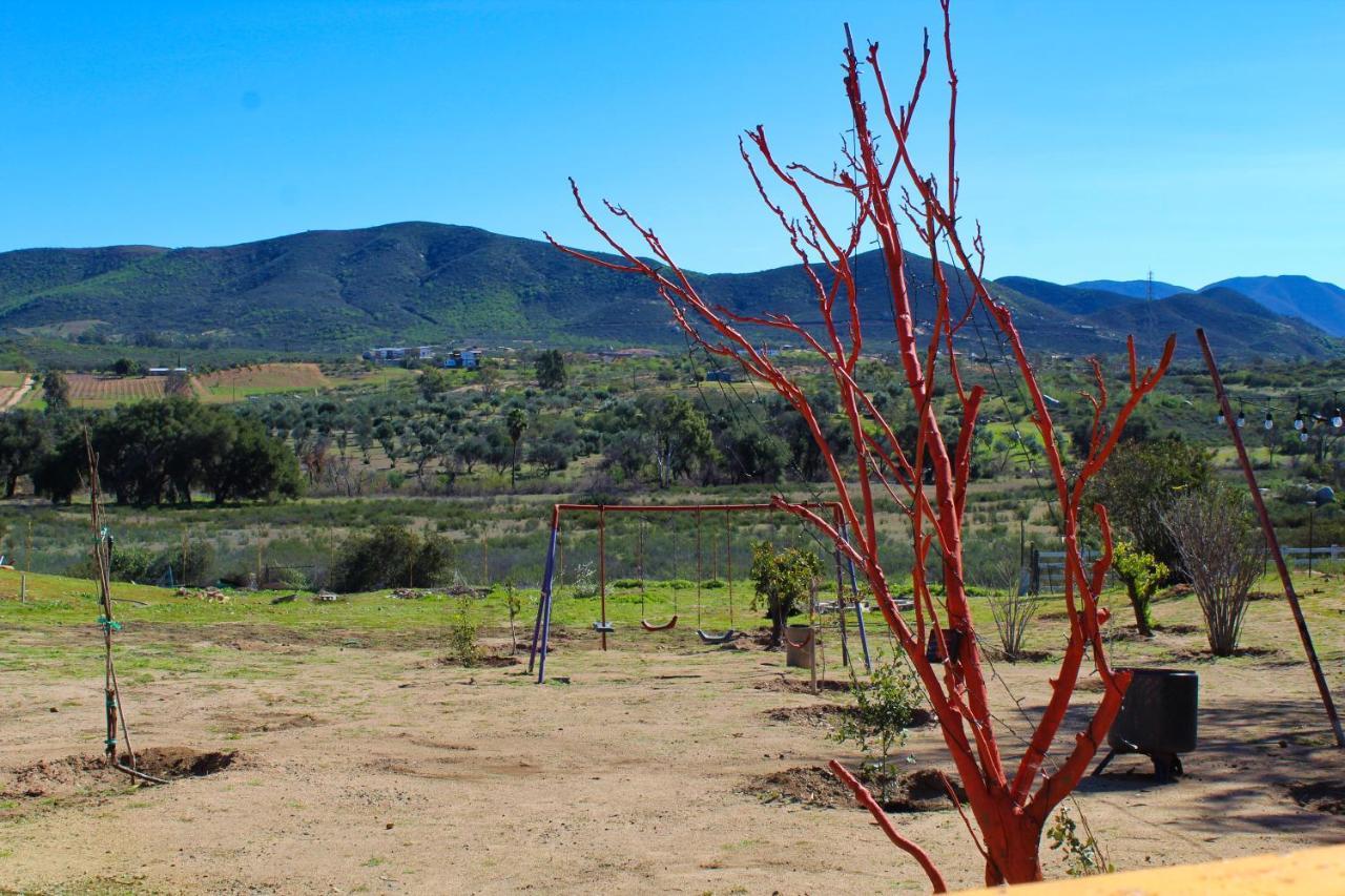 Rancho Matalote En Valle De Guadalupe Luaran gambar