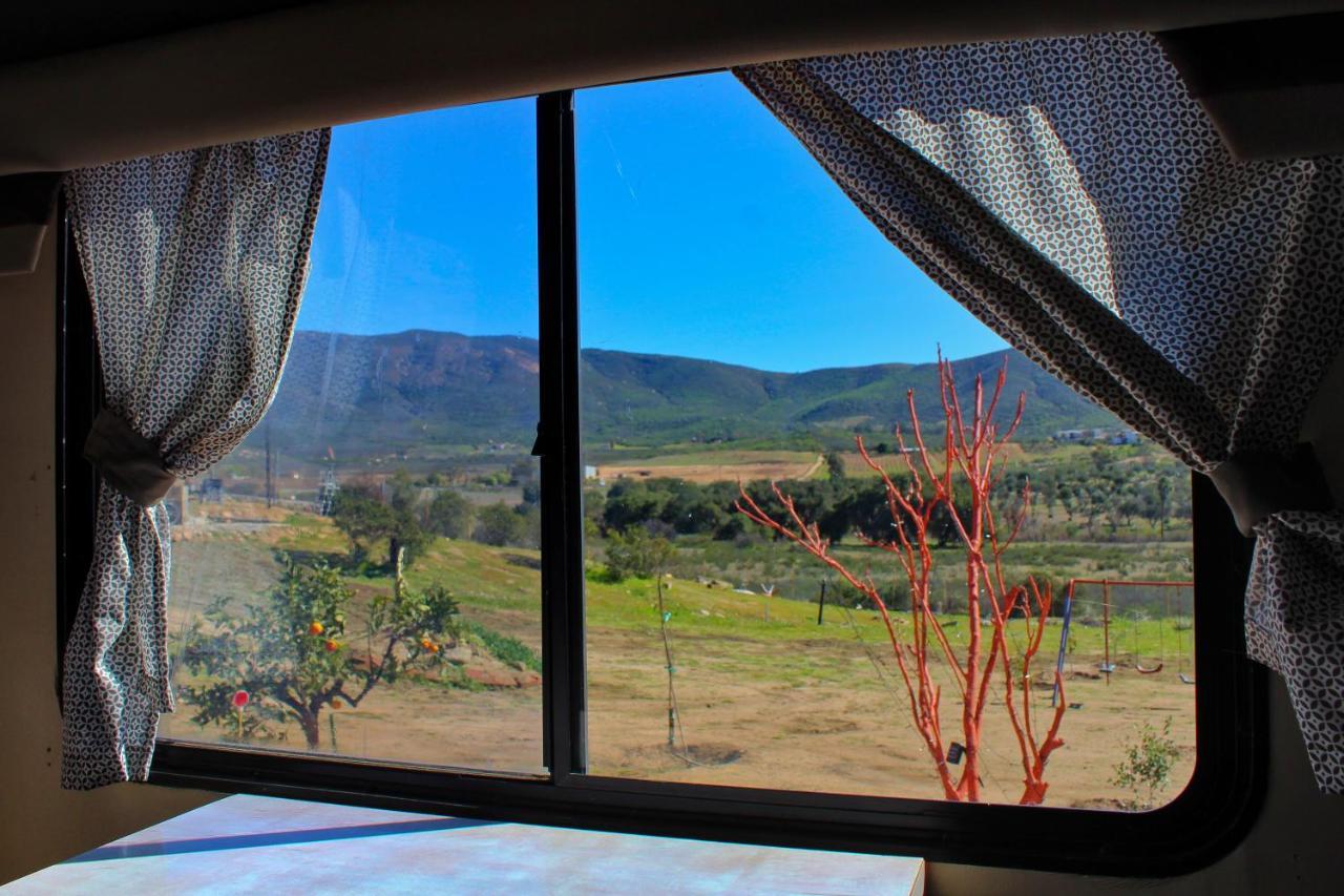 Rancho Matalote En Valle De Guadalupe Luaran gambar