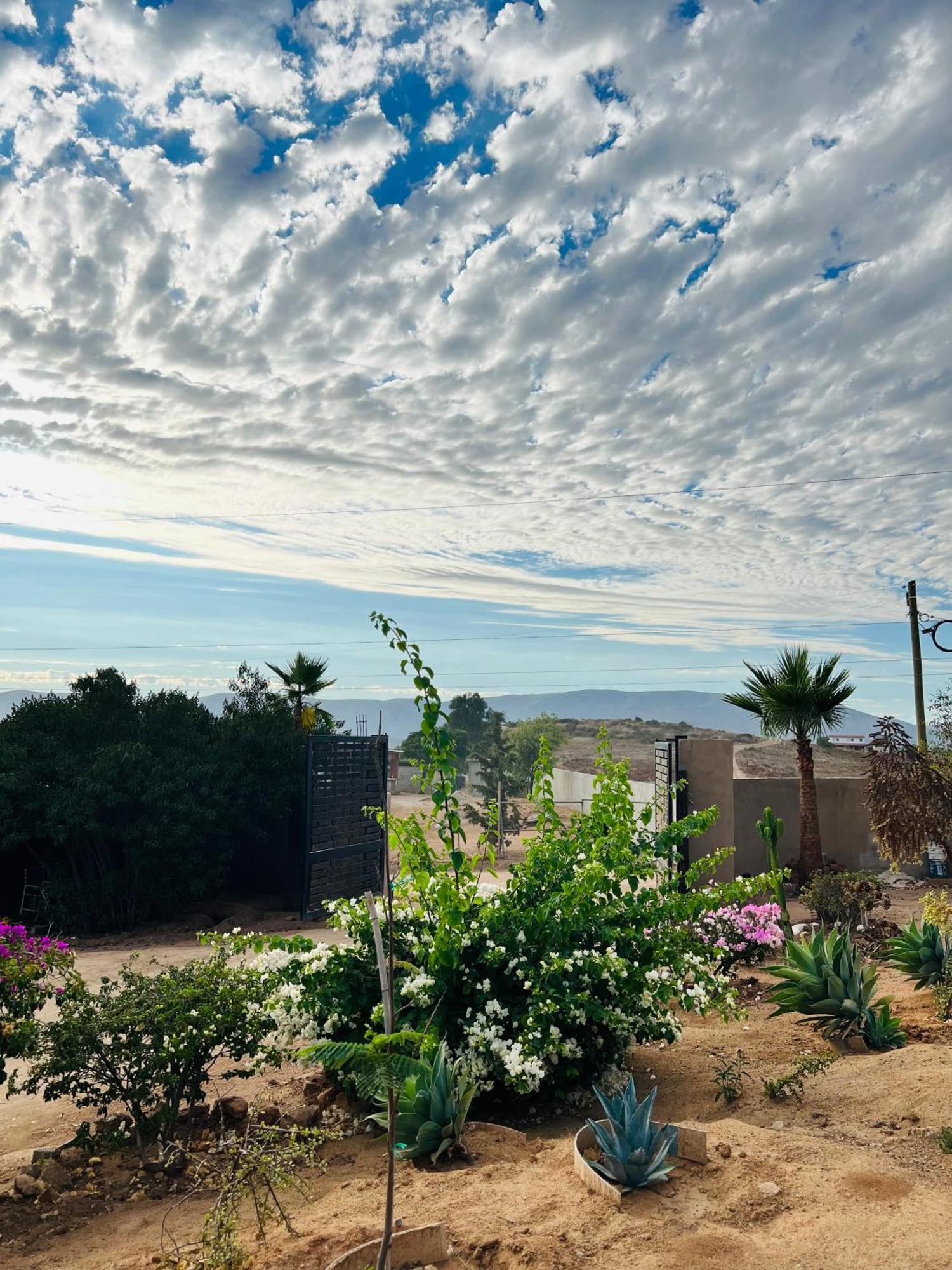 Rancho Matalote En Valle De Guadalupe Luaran gambar