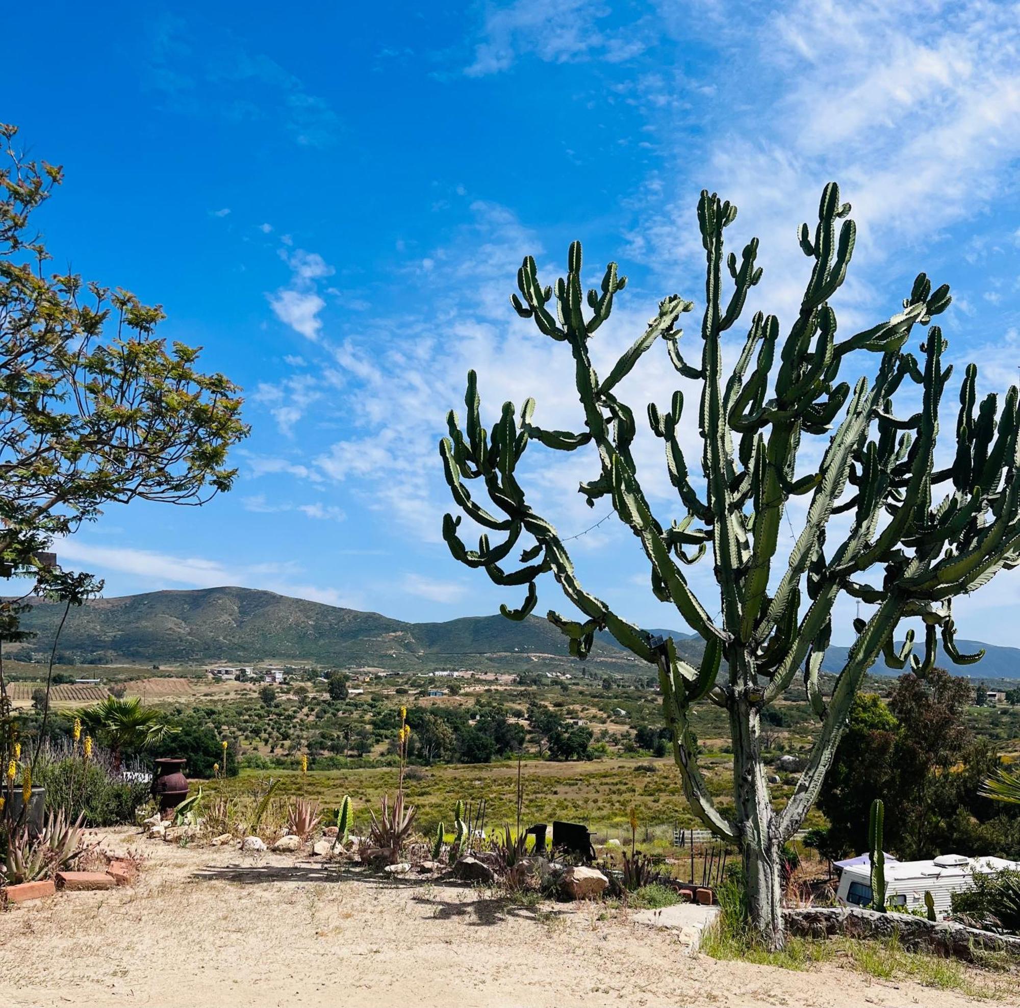 Rancho Matalote En Valle De Guadalupe Luaran gambar